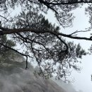 수한목장 이미지