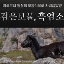 왕실농장 이미지