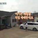 백령도냉면 이미지