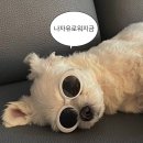 요가라이프 이미지