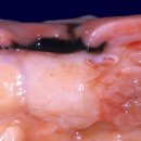 코엘의원 이미지