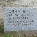 거창박물관