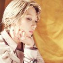 에이오에이 카카오 검색결과