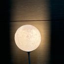 책나무파주운정독서학원 이미지