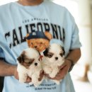 착한퍼피 이미지