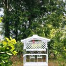 방주농장 | 제주 서귀포 귤따기체험 후기 카페 귤한편 가격, 예약 총정리