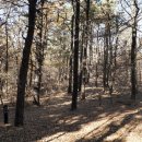 황청2리 마을회관 이미지