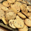 그레이시춘천 | 그래서 어쩌라고 우리는 젊습니다