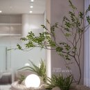 아미유한방병원 이미지