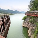 낭만느림보 이미지