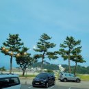 용화호텔카페 네이버블로그