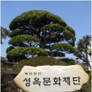 성옥식당 이미지