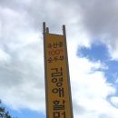 의령 갈매기