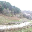 상동1천 이미지