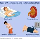 다루동물병원 | 진통제를 처방받았는데 강아지와 고양이가 이상해요 - 반려동물 NSAIDs 중독에 원인과 치료법