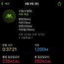 수영-305 이미지