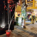 미나스 네일 | [내돈내산] 베트남 나트랑 마사지 '미나스파' 예약 및 후기