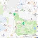 덕수궁 | 벚꽃과 개나리, 봄빛 가득한 덕수궁 나들이 후기