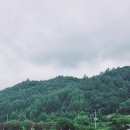 메밀꽃필무렵 이미지