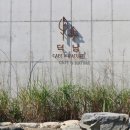 카페덕남 이미지