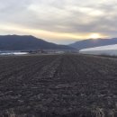 노을들녘 이미지