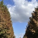 안성맞춤캠핑장 | 안성 초가성비 캠핑장 추천 | 안성맞춤캠핑장 티켓팅 및 글램핑 G7 솔직후기