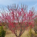 흥해시장 이미지