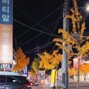 미림문화예술협동조합 | 계명문화대학교 문화 예술 in 취업 Dream 역량 강화 프로그램 참여 후기