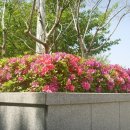 청소년회관 주차장 이미지