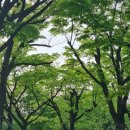 산업단지 자전거길 이미지