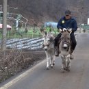 후계자 농장 이미지