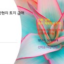 경기 남양주 창현리 토지 / 단필지 / 지분투자가능 / 소액투자가능 이미지