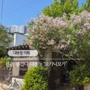 오가닉밸런스 | 대구 대봉동 카페 오가닉모가 내돈내산 후기