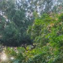 천안천9길 이미지