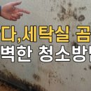매직청소TV 이미지