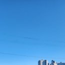 민락동 Daum카페