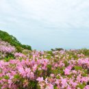 화봉제1공원 이미지