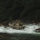 록키산장 Daum카페