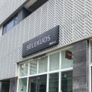 셀레쿠오스