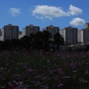 광양커뮤니티센터 이미지