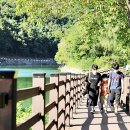 스피드넷(스피드방역) | 서울근교 가볼만한곳 파주 마장호수 출렁다리 주말 나들이