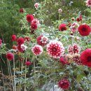 어느날, 하동 이미지