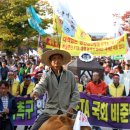 한뿔축산 경향신문