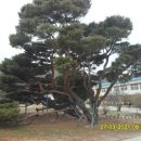 죽장초등학교상옥분교장 이미지