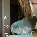 오석헌동물병원 이미지