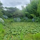 행복한선물 이미지