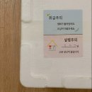 세복농장 | 봄맞이 농라카페에서 구매한 꽃 후기! 이번엔 시골쥐 농장편!