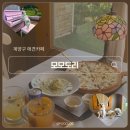 오렌지 애견카페 | 계양구 대형카페 찾는다면? 즐길 거리 다양한 계양구 애견카페 모모토리 후기