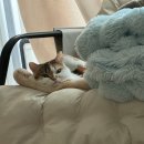 동감늘푸른한의원 이미지