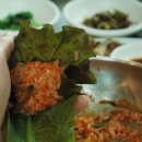 남포물회